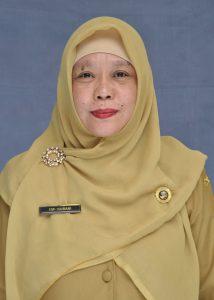 EMI HAIRANI