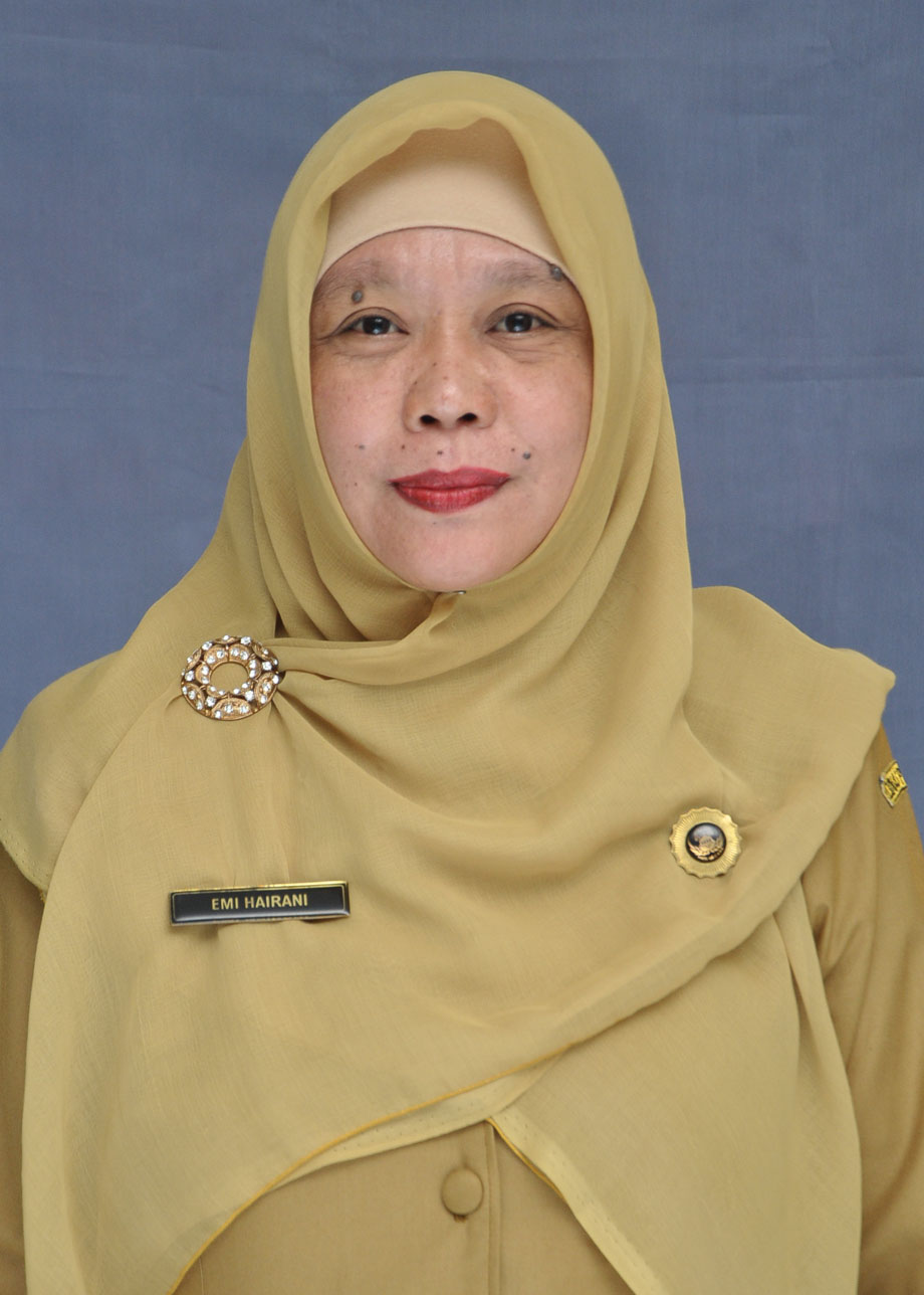 EMI HAIRANI