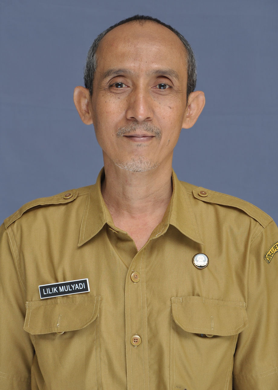 LILIK MULYADI